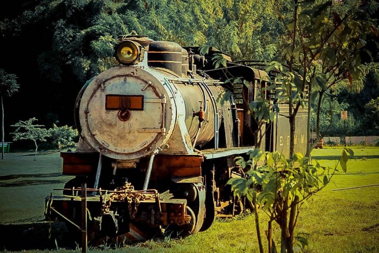 O que fazer em Porto Velho?